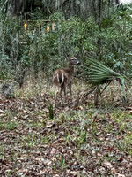 IMG_0188
