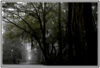 Magical Creepy -026 MK