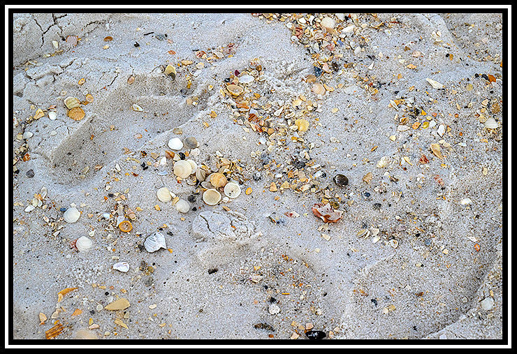 pColaBeach (12) MK