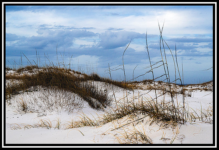 pColaBeach (50) MK