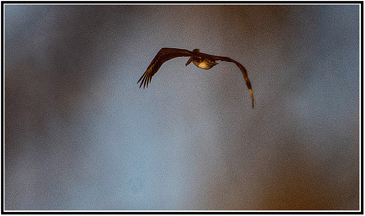 walk-283 MK