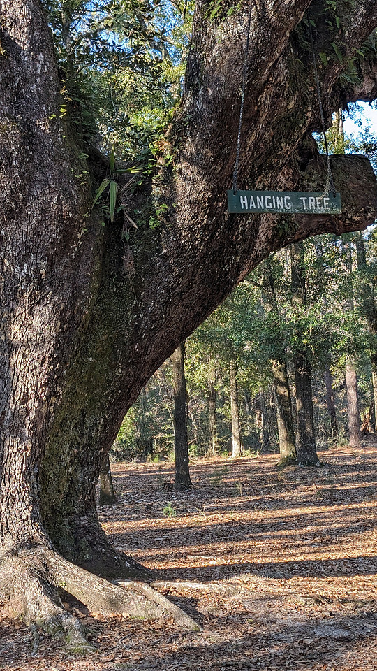 PXL_20240213_215721345