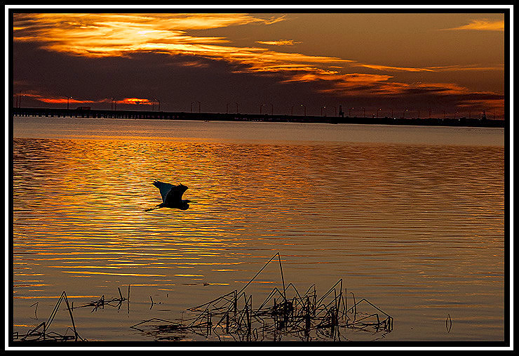 Sunset-044 MK