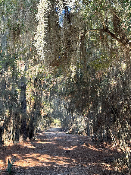 IMG_0349