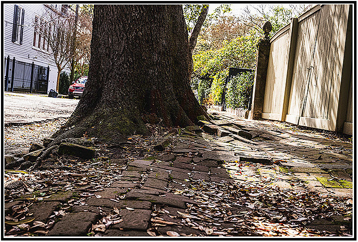 NOLA-2-123 MK
