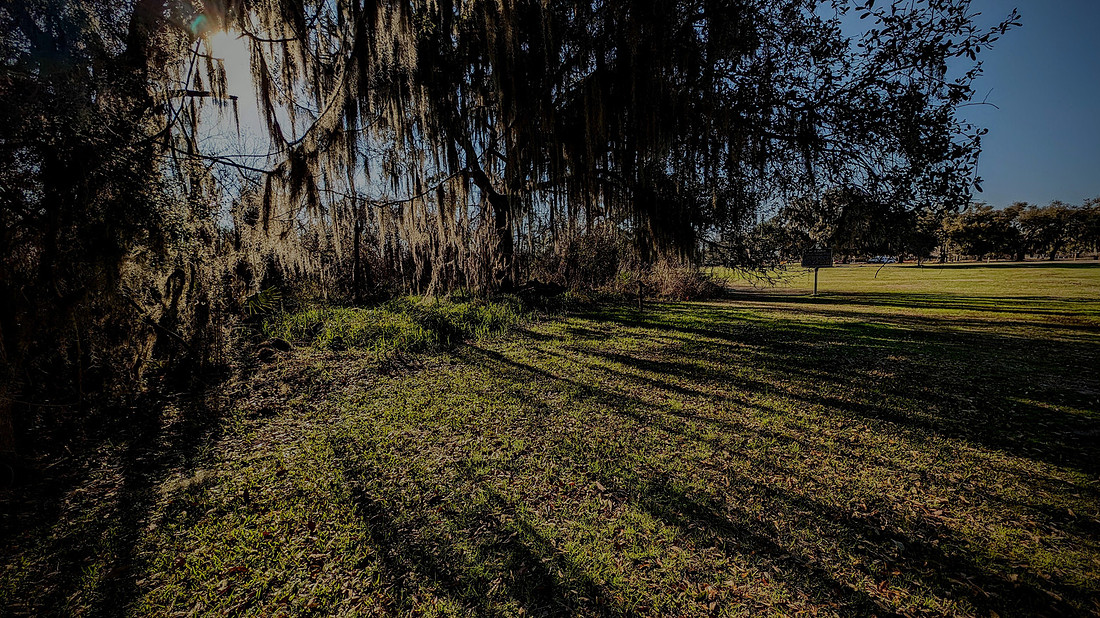 PXL_20240220_215527752-EDIT
