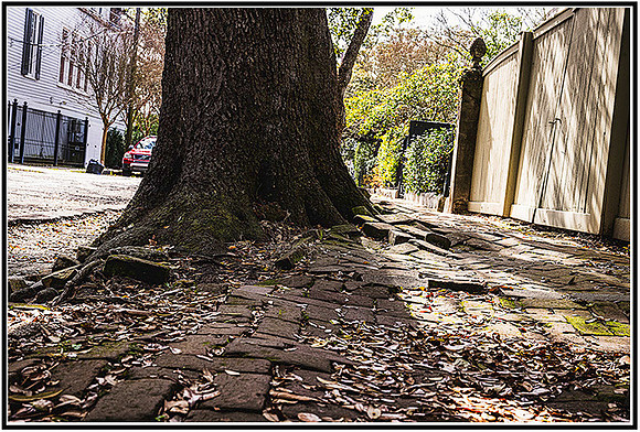 NOLA-2-123 MK