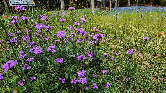 PXL_20240314_193347987-EDIT