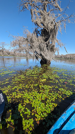 PXL_20240326_160924254
