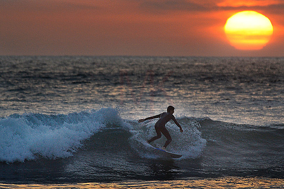 surf01