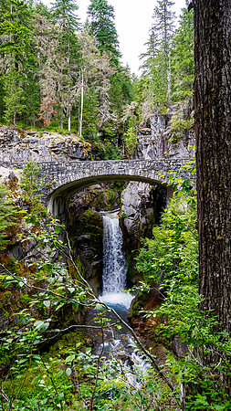 Rainier-0389 copy