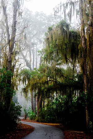 Magical Creepy -007 copy