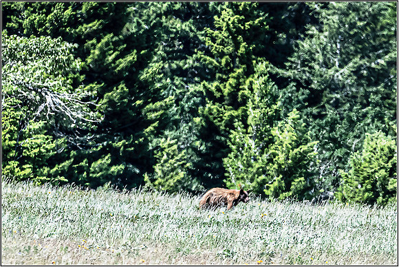 snow-0608 MK