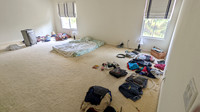 Blog pictures