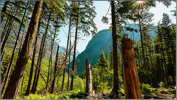 Ceder_hike-0276 MK