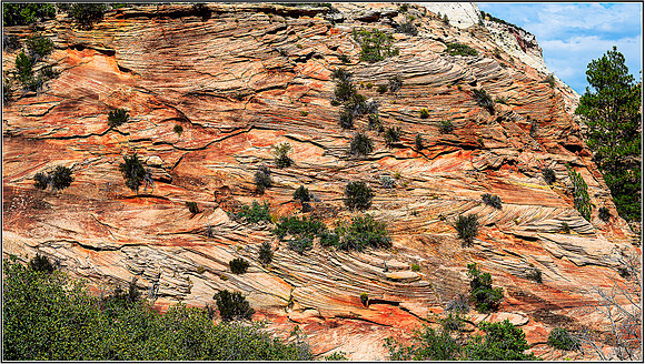 Zion-0591 MK