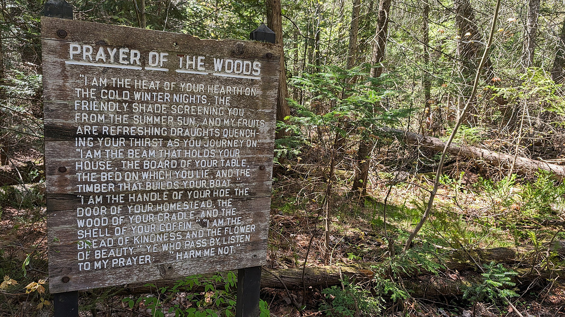 Prayer in woods