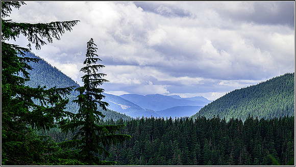 Rainier-0341 MK