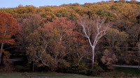 PXL_20241022_224204096