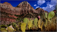 Zion National Park