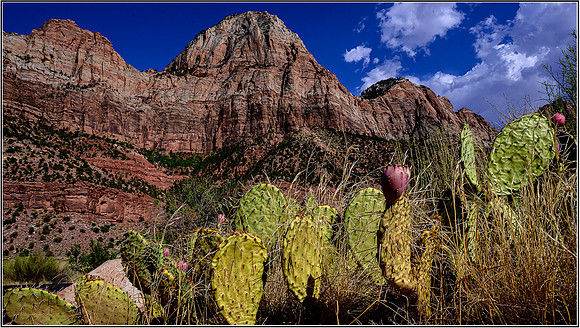 Zion-0852 MK