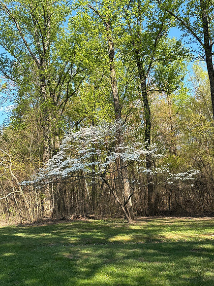 IMG_0647