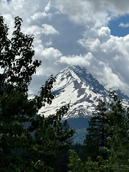 IMG_1616