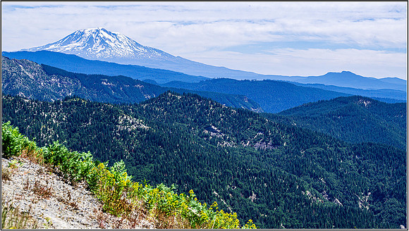 Helens-0347 MK