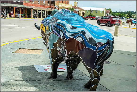 BISON-0066 copy