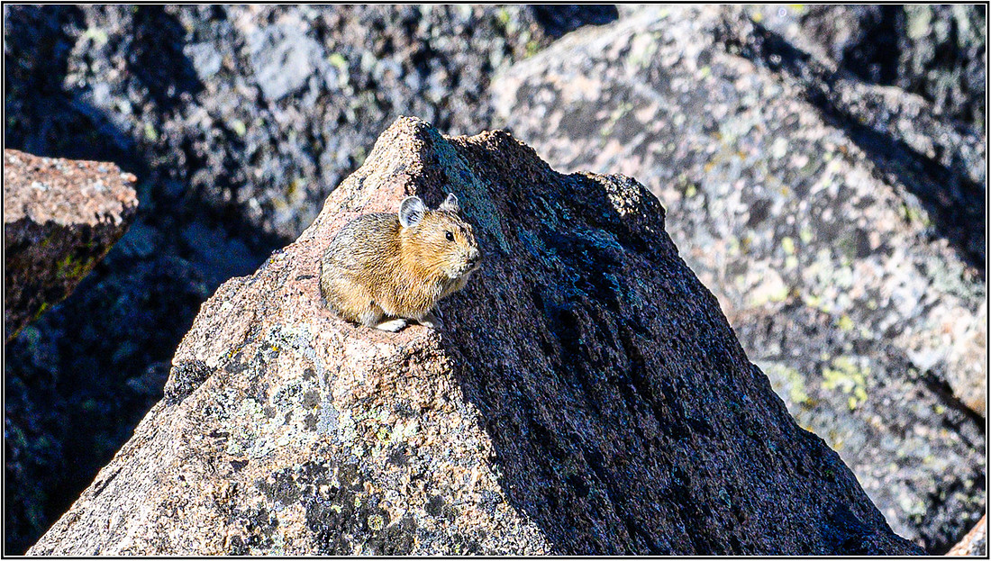RockyMt-0554 MK